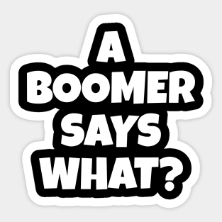 Ok Boomer Sticker